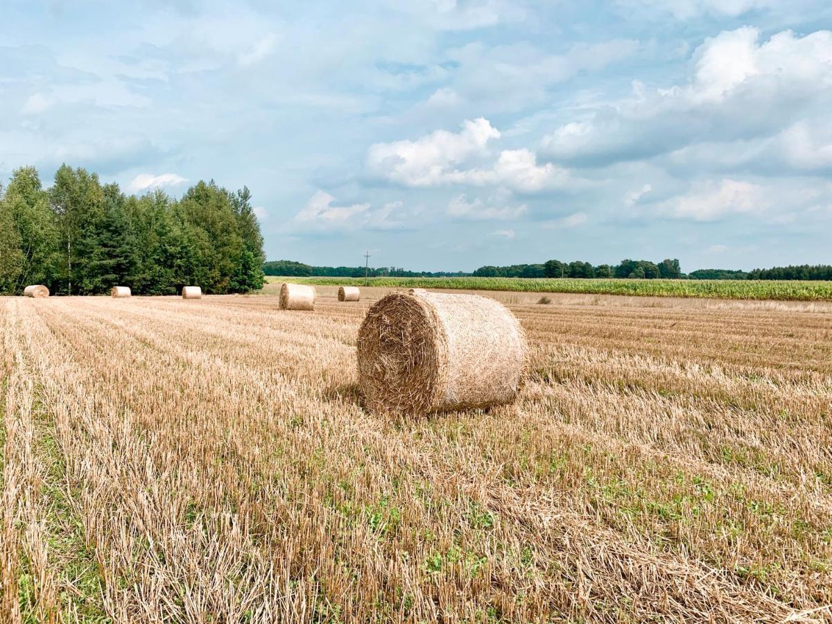 Agroturystyka Sielanka Przasnysz Exterior photo